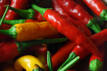 Картинка еда перец острый стручки