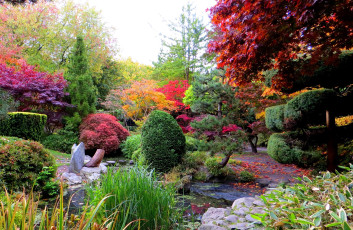 обоя природа, парк, сад, растения, осень, листья, дорожки