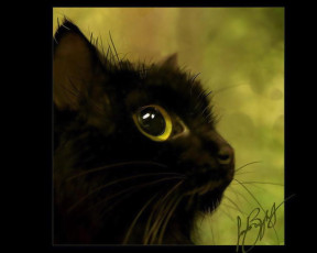 Картинка рисованные животные коты