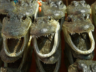 Картинка разное