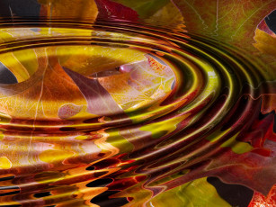 Картинка разное