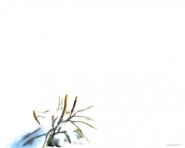 Обои картинки фото компьютеры, desktop, decor