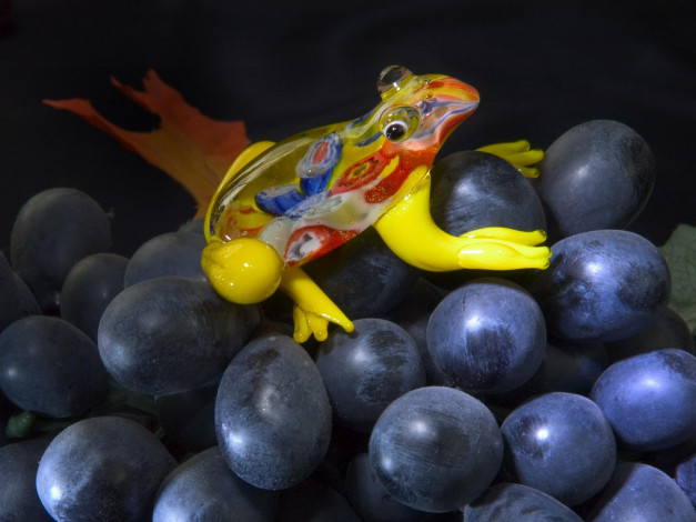 Обои картинки фото разное