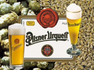 обоя gambrinus, бренды