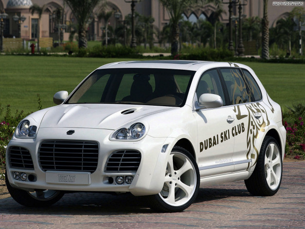 Обои картинки фото автомобили, porsche