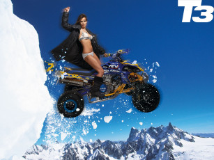 Картинка бренды t3