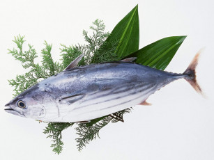 Картинка еда рыба морепродукты суши роллы