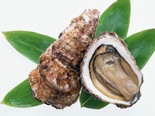 Картинка еда рыба морепродукты суши роллы