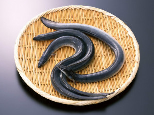 Картинка еда рыба морепродукты суши роллы