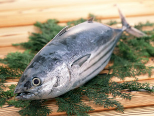 Картинка еда рыба морепродукты суши роллы