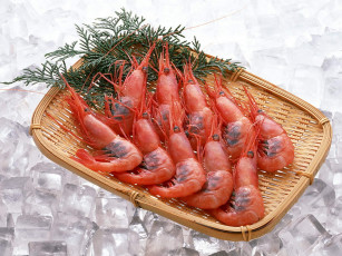 Картинка еда рыба морепродукты суши роллы