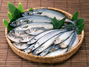 Картинка еда рыба морепродукты суши роллы