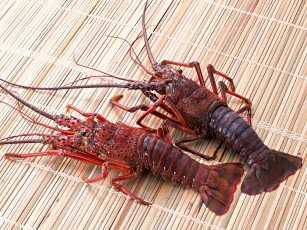 Картинка еда рыба морепродукты суши роллы