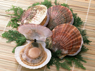 Картинка еда рыба морепродукты суши роллы