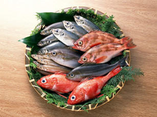 Картинка еда рыба морепродукты суши роллы