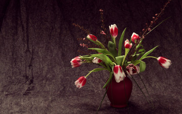 Картинка цветы букеты композиции