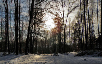 Картинка природа