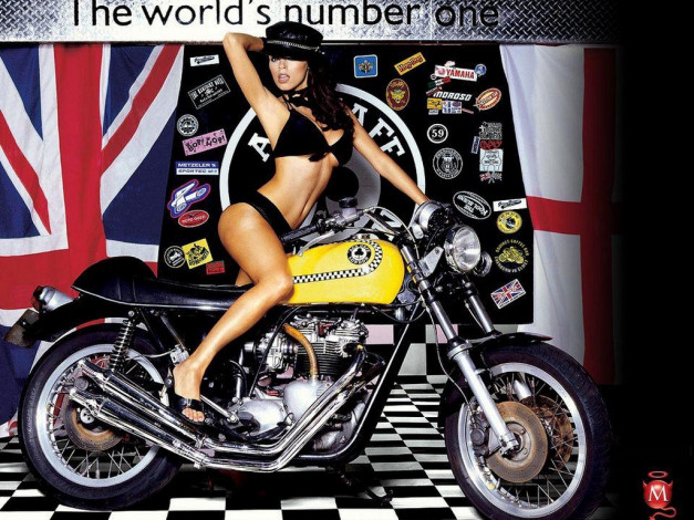 Обои картинки фото бренды, maxim