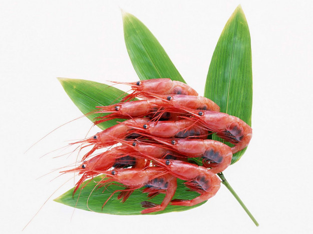 Обои картинки фото еда, рыба, морепродукты, суши, роллы