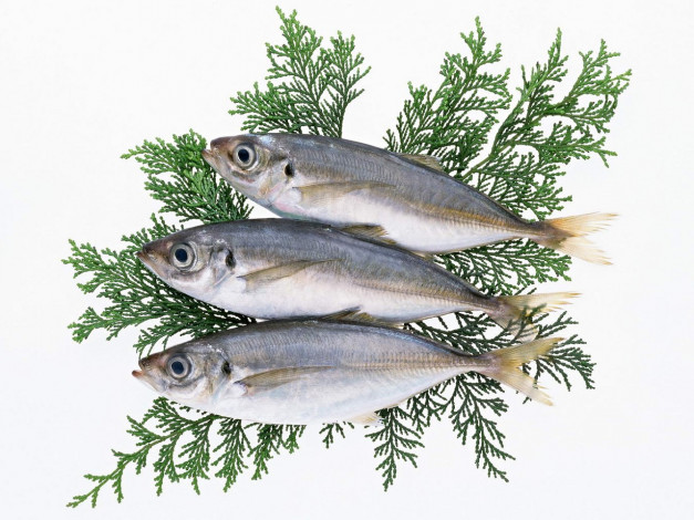 Обои картинки фото еда, рыба, морепродукты, суши, роллы