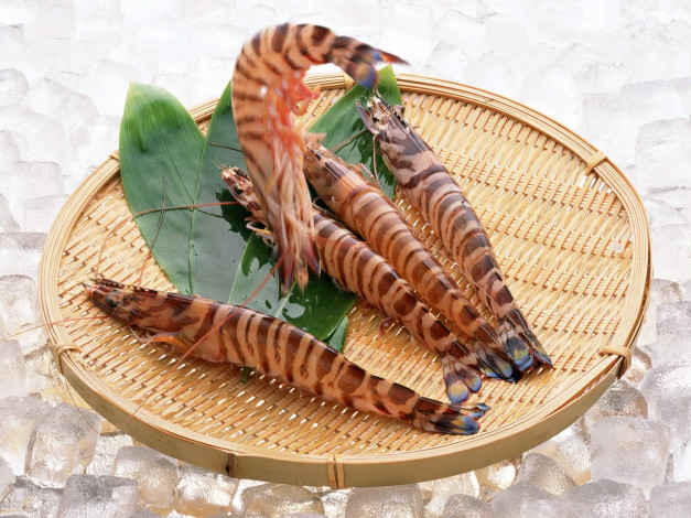 Обои картинки фото еда, рыба, морепродукты, суши, роллы