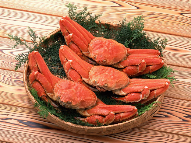 Обои картинки фото еда, рыба, морепродукты, суши, роллы