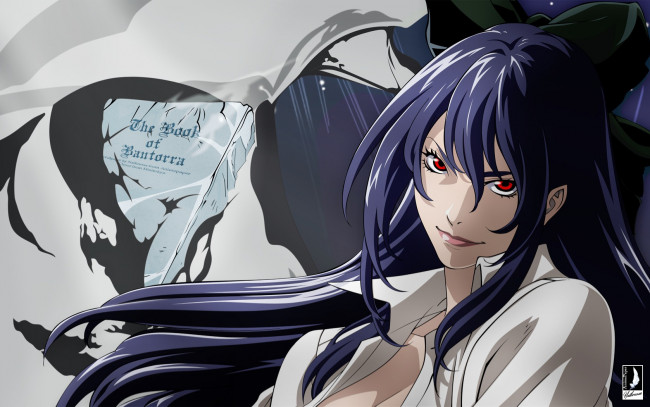 Обои картинки фото tatakau, shisho, the, book, of, bantorra, аниме