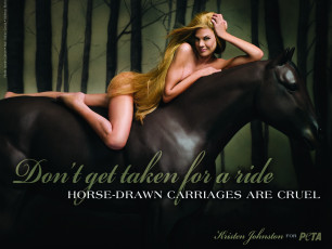Картинка бренды peta people for the ethical treatment of animals девушка лошадь волосы