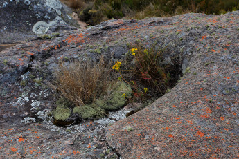 Картинка мадагаскар природа другое камни цветы