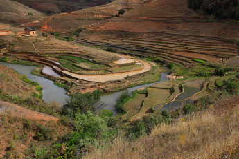 Картинка мадагаскар природа поля террасы рисовые домик