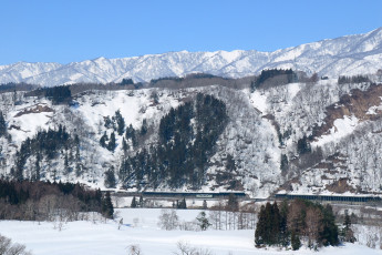 Картинка природа горы деревья