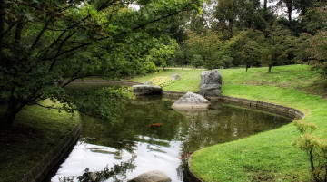 Картинка природа парк водоем деревья