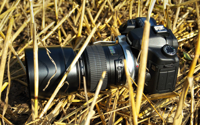 Обои картинки фото бренды, canon, объектив, фотоаппарат