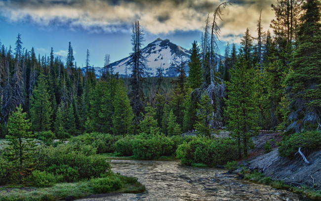 Обои картинки фото природа, пейзажи, река, лес, деревья, горы