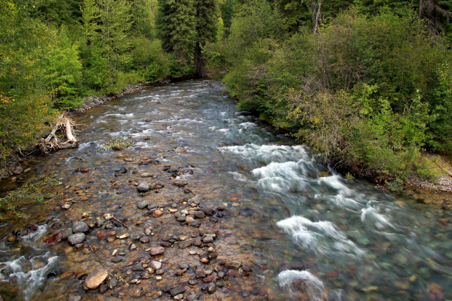 Обои картинки фото природа, реки, озера, камни, река, лес