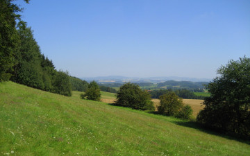 Картинка природа луга холм луг деревья