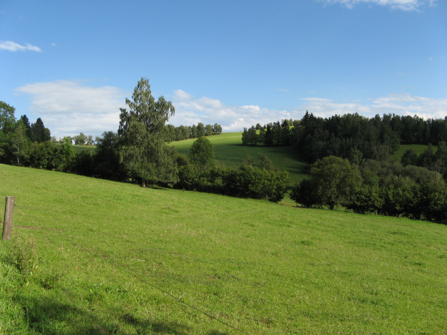 Обои картинки фото природа, луга, луг, трава, деревья