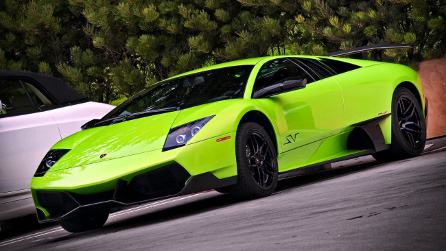 Обои картинки фото lamborghini, murcielago, автомобили