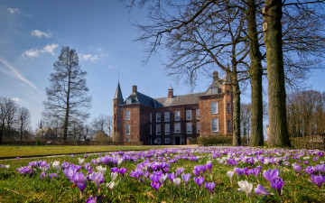 Картинка города -+дворцы +замки +крепости цветы особняк парк лужайка slot+zuylen oud-zuilen netherlands ауд-зёйлен нидерланды крокусы