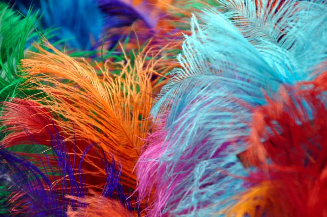 Обои картинки фото разное, перья, яркий