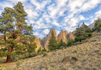 Картинка природа горы скалы облака небо деревья склон