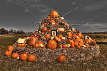 Картинка еда тыква урожай пирамида