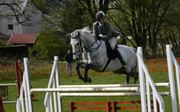 Картинка спорт конный+спорт ипподром лошадь жокей скачки