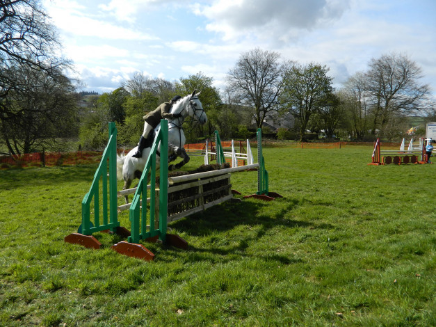 Обои картинки фото спорт, конный спорт, ипподром, лошадь, жокей, скачки