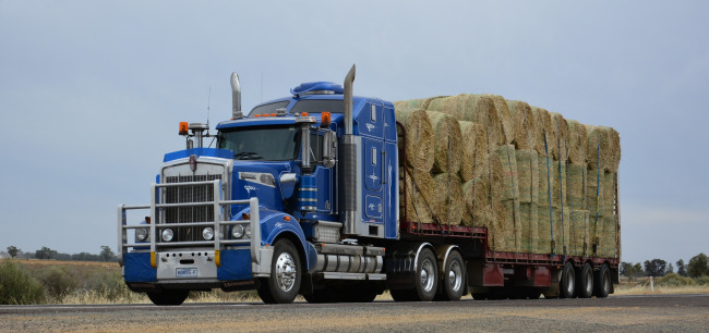 Обои картинки фото kenworth, автомобили, тяжелый, грузовик, седельный, тягач