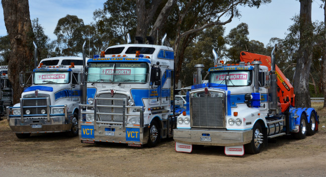 Обои картинки фото kenworths, автомобили, kenworth , выставка, улица, тяжелый, тягач, седельный, грузовик