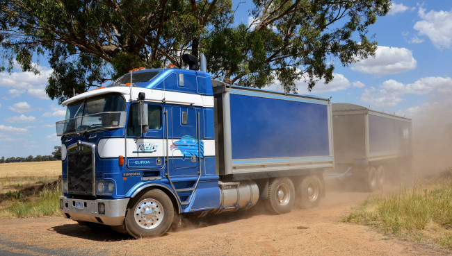 Обои картинки фото kenworth, автомобили, тяжелый, грузовик, седельный, тягач