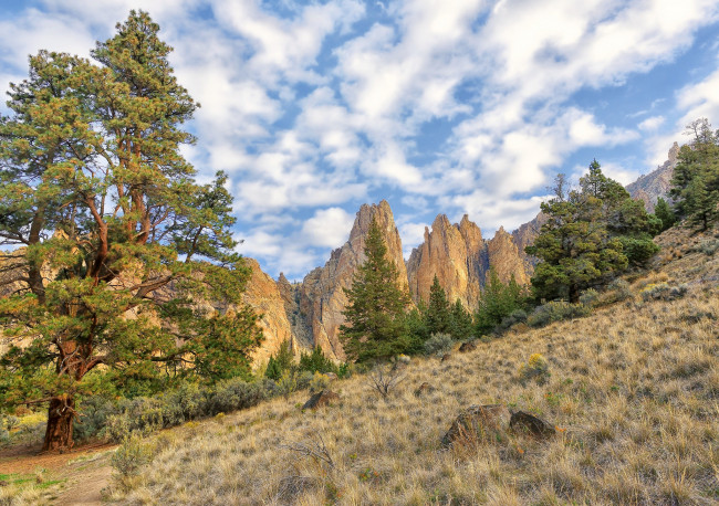 Обои картинки фото природа, горы, скалы, облака, небо, деревья, склон