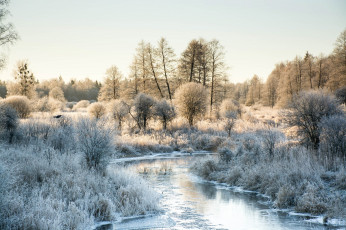 Картинка природа реки озера река лес