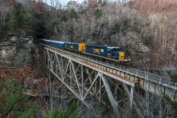 Картинка техника поезда железная дорога рельсы локомотив состав